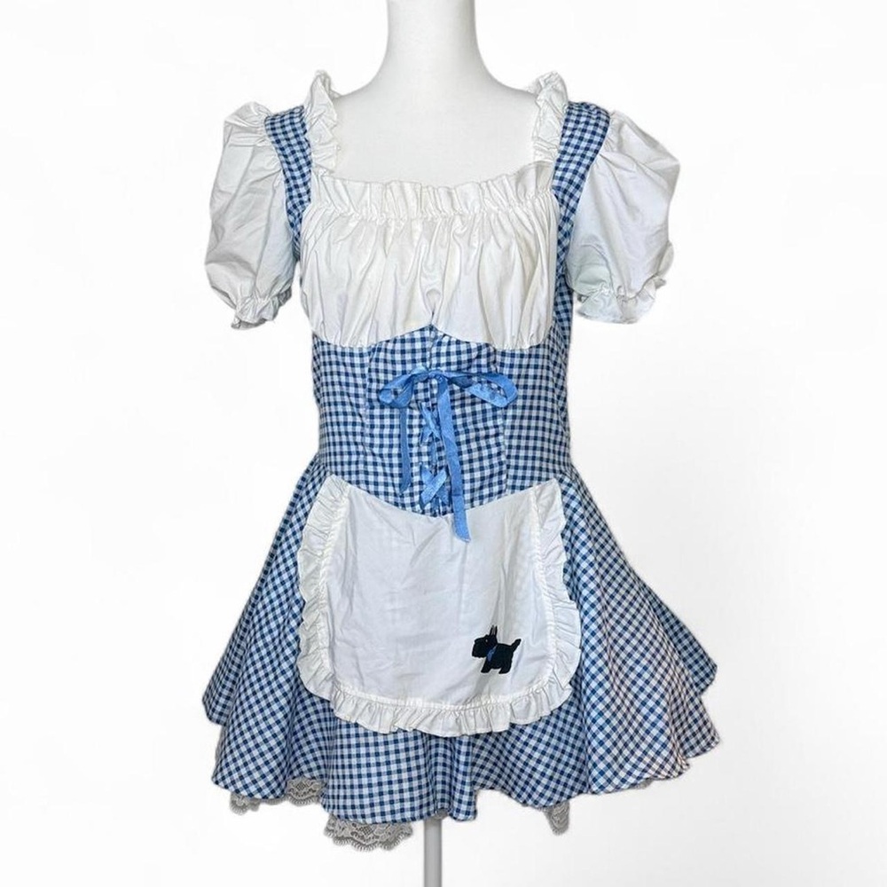 Sexy Dorothy Costume